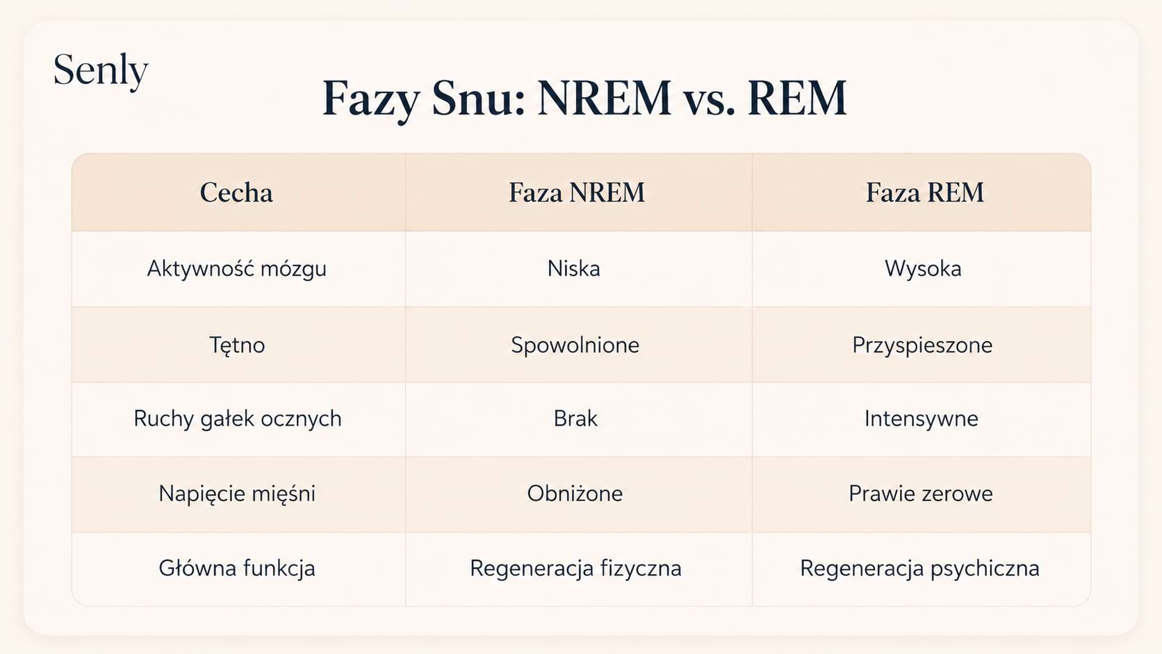 Infografika Porównanie faz snu NREM i REM różnice w aktywności mózgu, ruchach gałek ocznych, napięciu mięśni i funkcjach regeneracyjnych