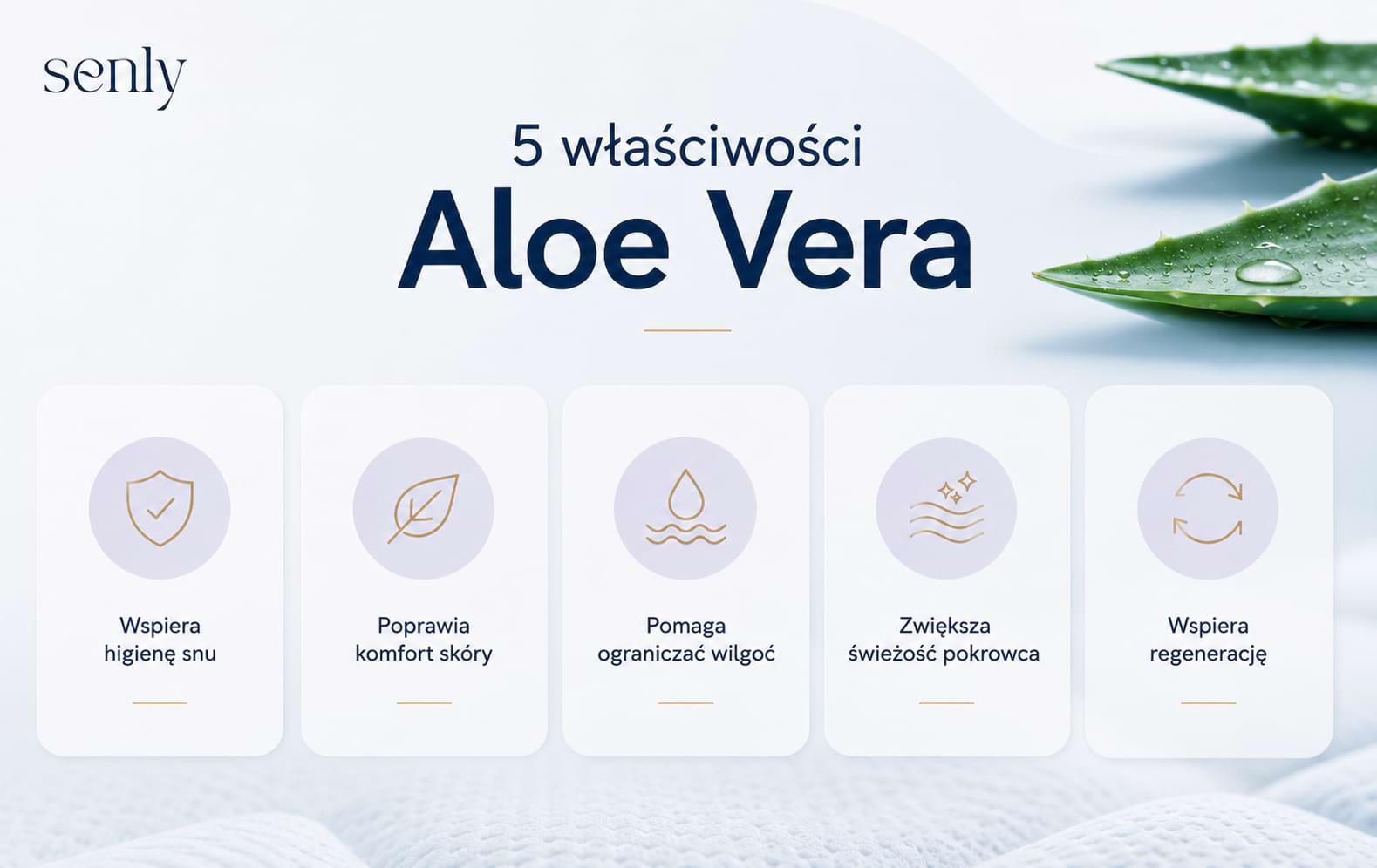 Infografika 5 Najważniejszych właściwości Aloe Vera w pokrowcach materacy higiena, świeżość i komfort skóry
