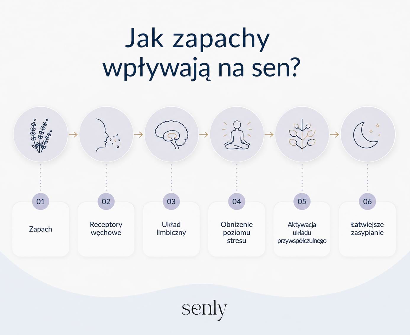 Infografika Aromaterapia jak zapachy wpływają na sen od receptorów węchowych do łatwiejszego zasypiania
