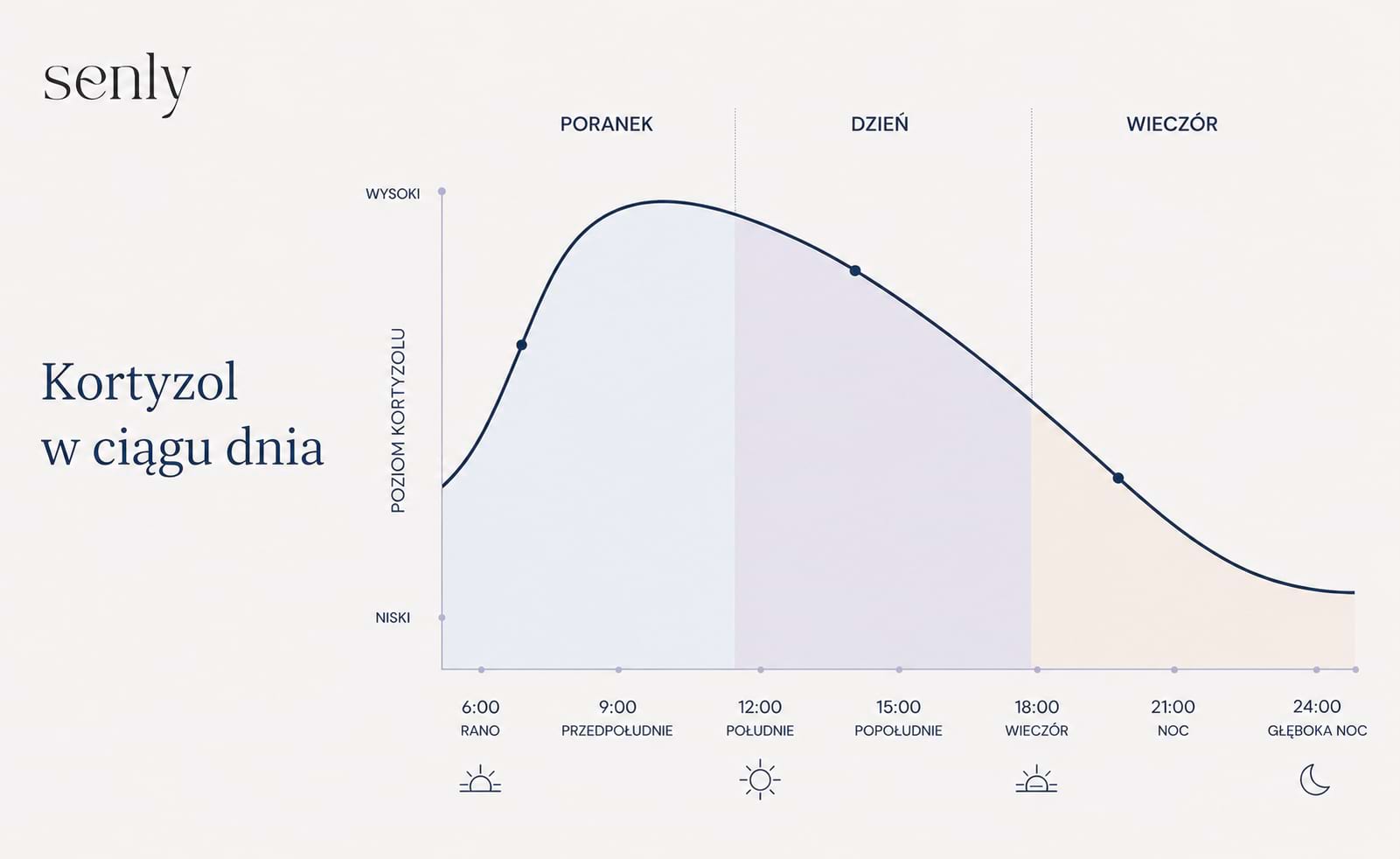 Infografika Jak zmienia się poziom kortyzolu w ciągu dnia wykres dobowy
