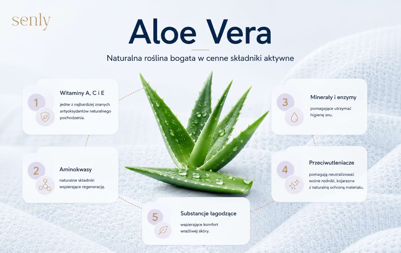 Infografika Aloe Vera Aleos w pokrowcach materacy składniki aktywne wspierające higienę i komfort snu