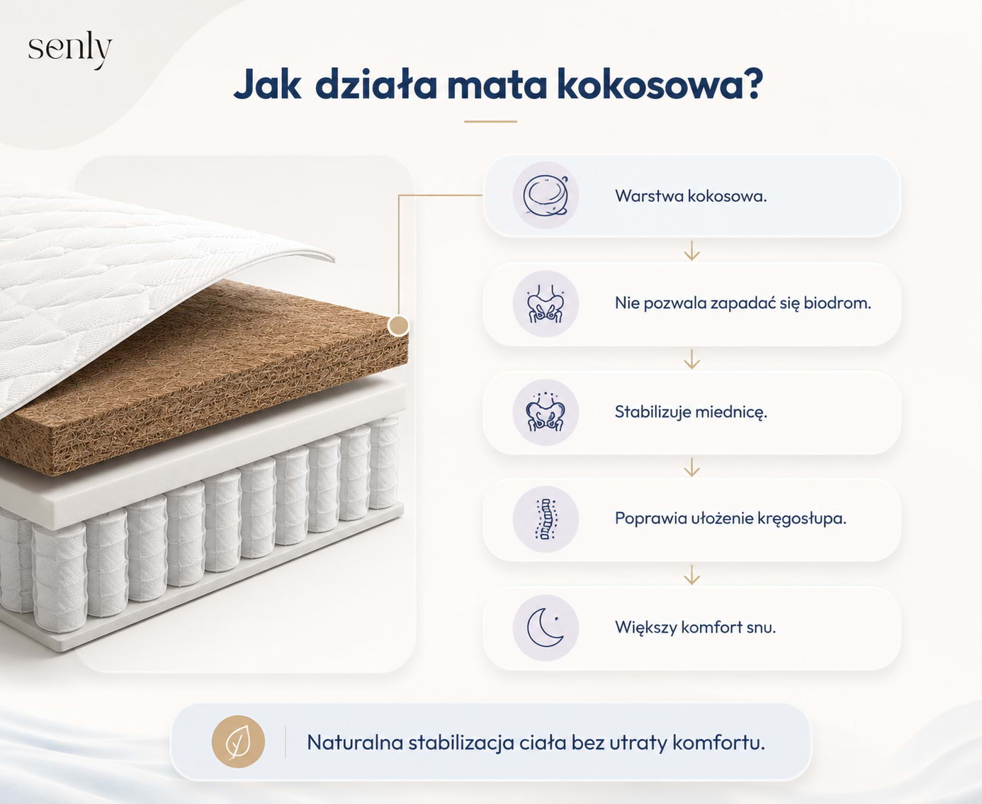 Infografika Jak działa mata kokosowa w materacu poprawia stabilizację miednicy i podparcie kręgosłupa.